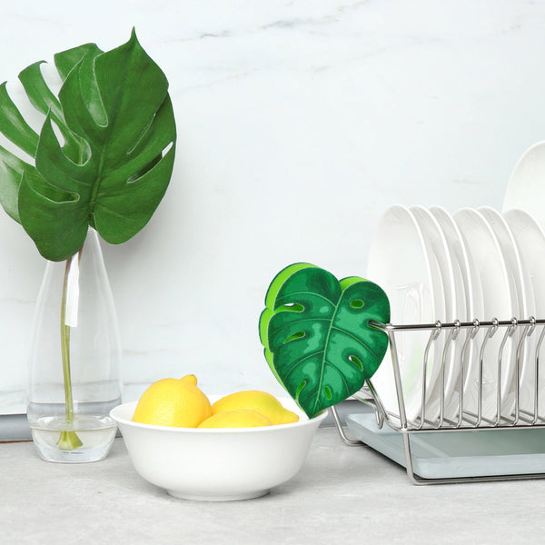 Genuine Fred HOUSE PLANT Sponge