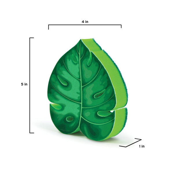 Genuine Fred HOUSE PLANT Sponge