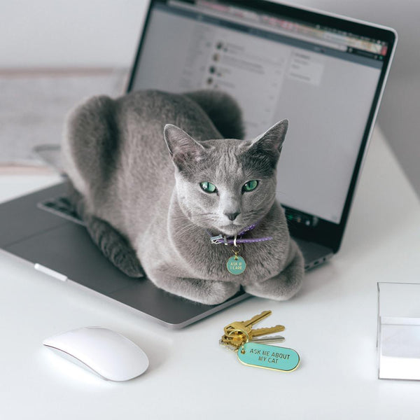 Genuine Fred KEYCHAIN + CAT TAG SET Howligans