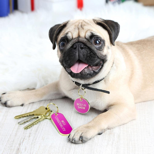 Genuine Fred KEYCHAIN + DOG TAG SET Howligans