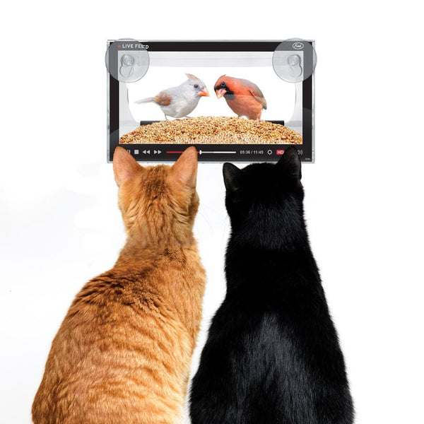 Genuine Fred LIVE FEED Bird Feeder