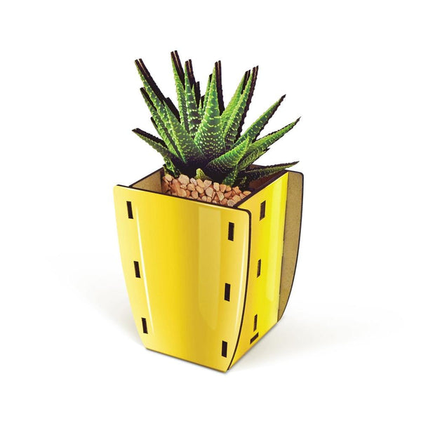 genuine fred POP PLANTS - Aloe Pencil Holder