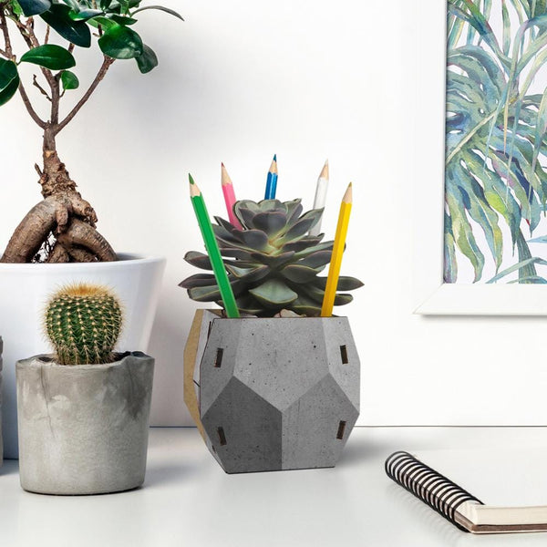 Genuine Fred POP PLANTS - Echeveria Pencil Holder