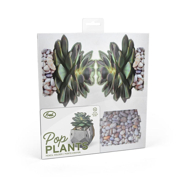 Genuine Fred POP PLANTS - Echeveria Pencil Holder