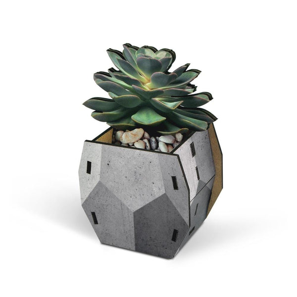 genuine fred POP PLANTS - Echeveria Pencil Holder