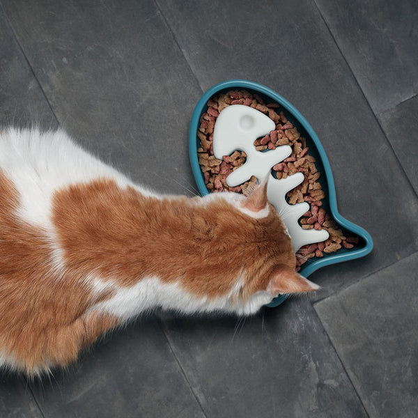 Genuine Fred SLOW FOOD - CAT Howligans