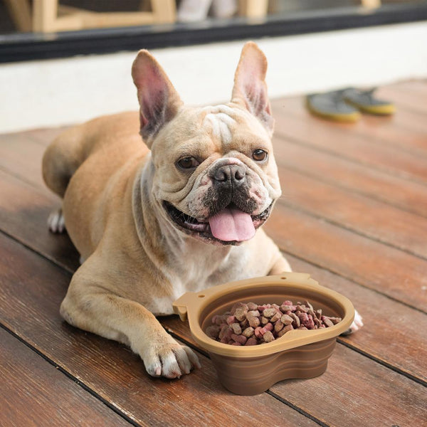 Genuine Fred SNOUT OUT Collapsible Dog Bowl
