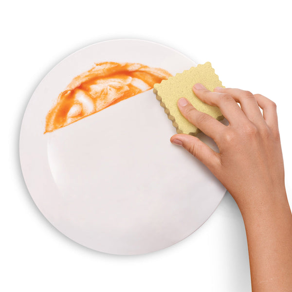 Genuine Fred SPONGIOLI Compressed Sponges