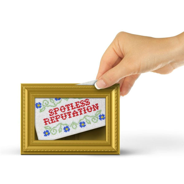 Genuine Fred SUBVERSIVE SPONGES - PG Rated Sponge Caddy Set