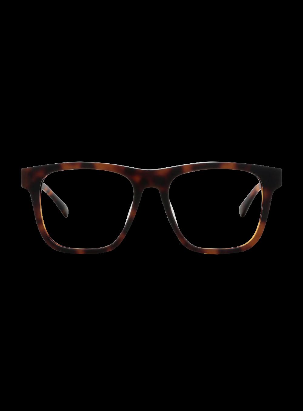 George Gina & Lucy BRO