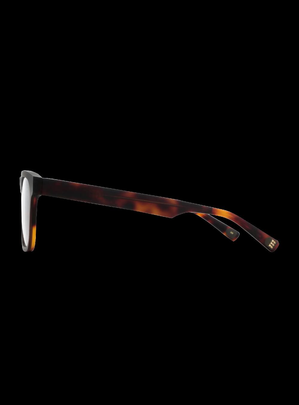 George Gina & Lucy BRO