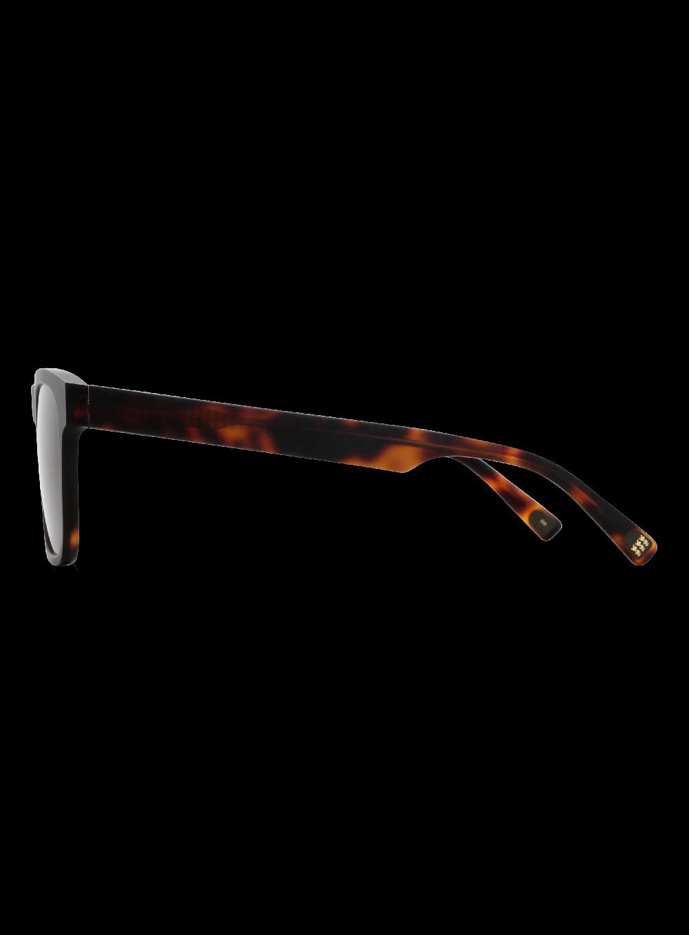 George Gina & Lucy BRO SUN