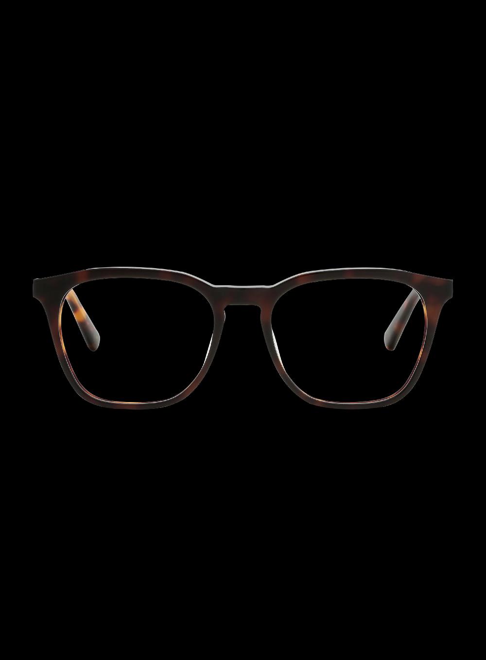 george gina & lucy BUDDY