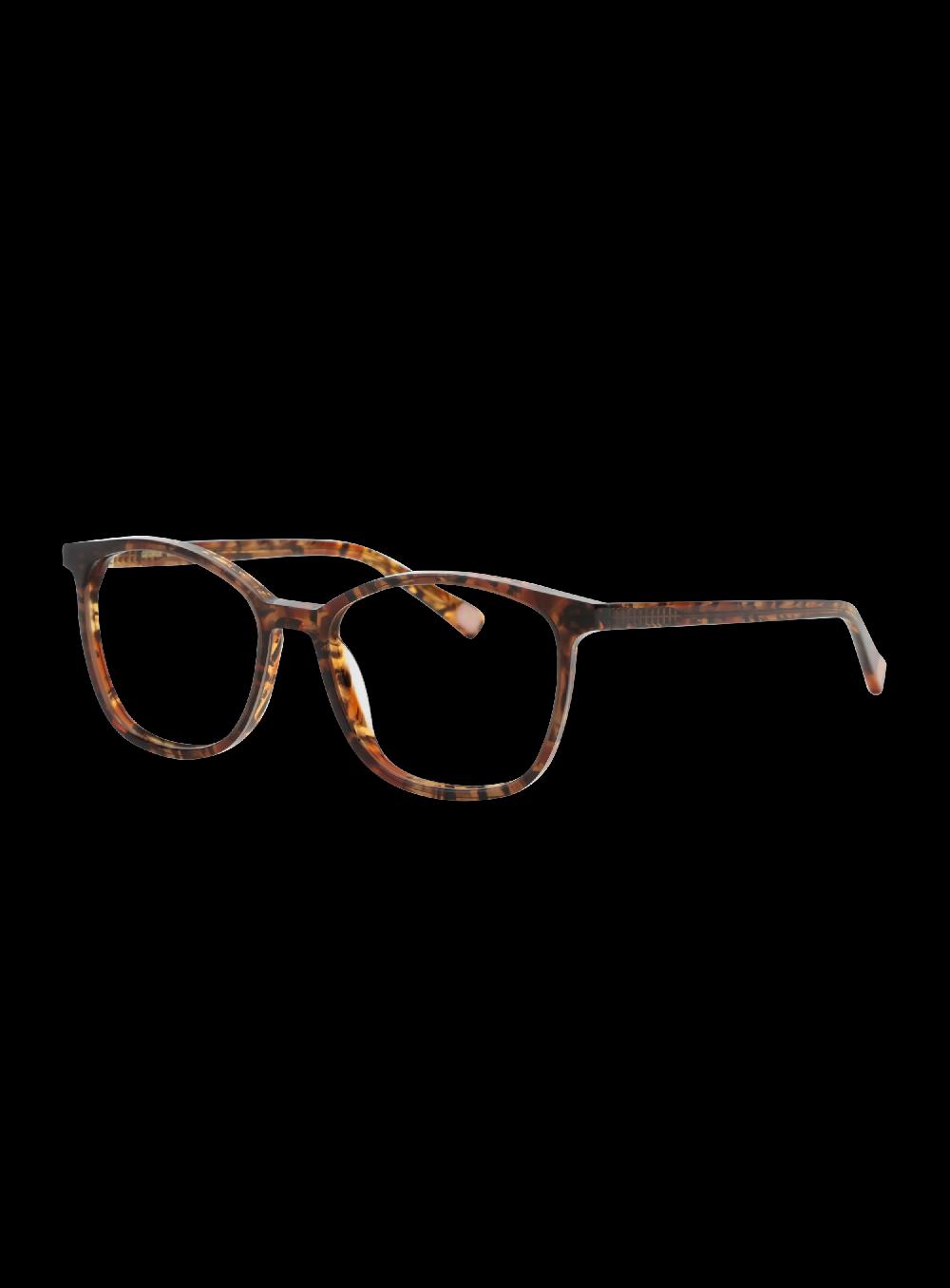 George Gina & Lucy NECESSEETY