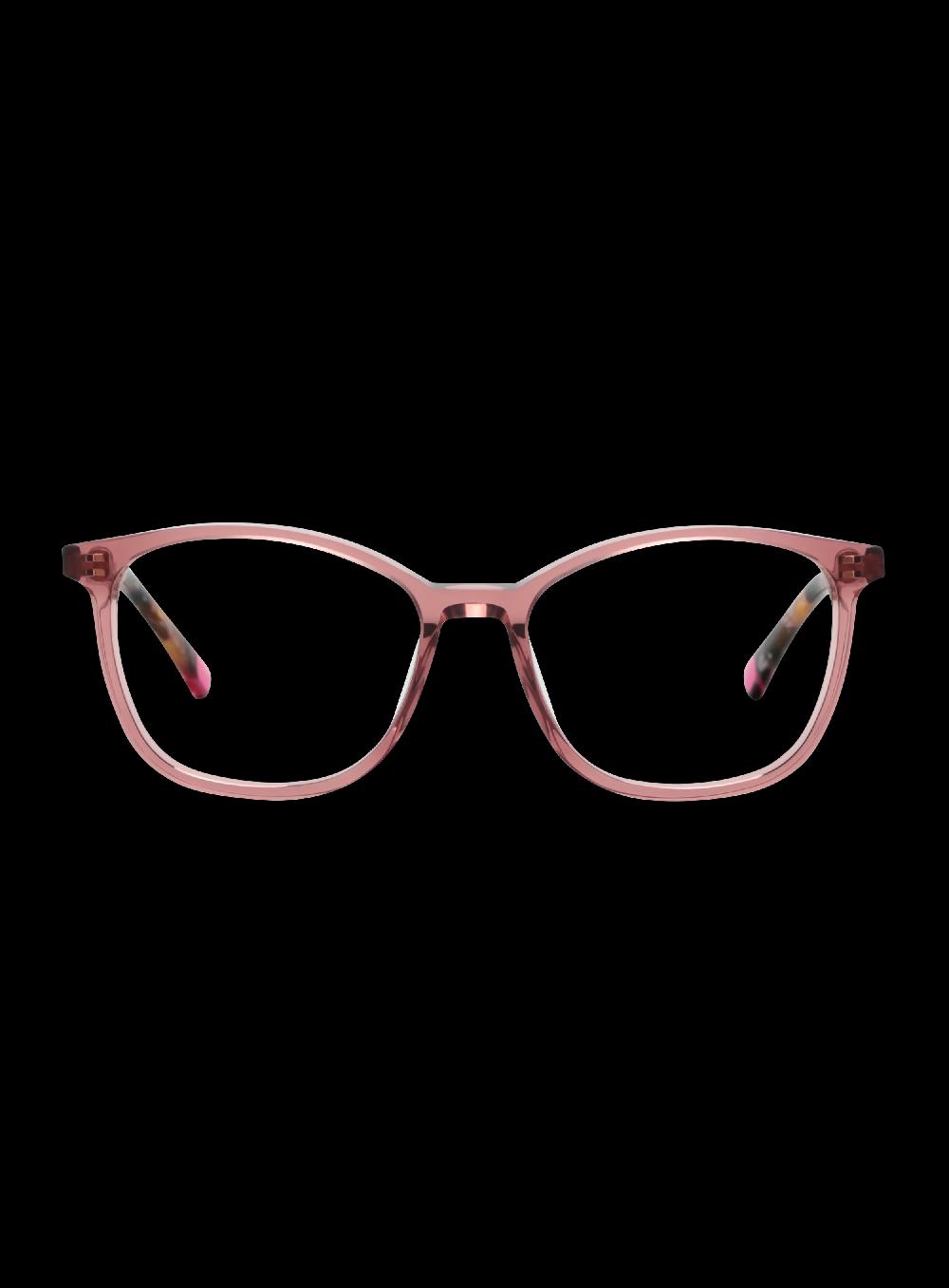 george gina & lucy NECESSEETY