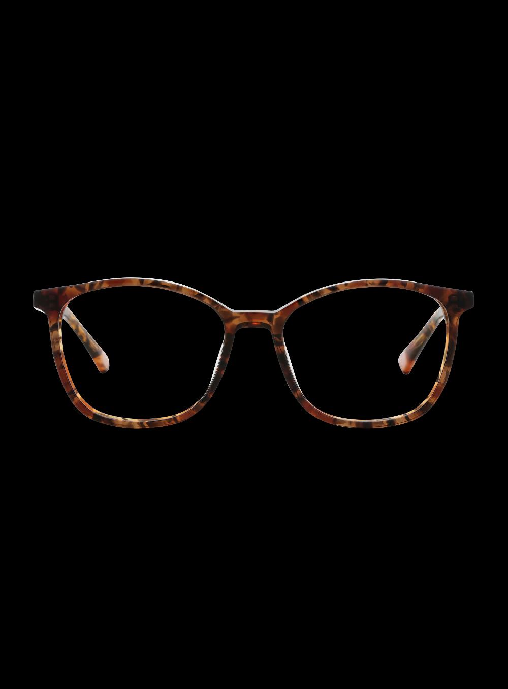 george gina & lucy NECESSEETY