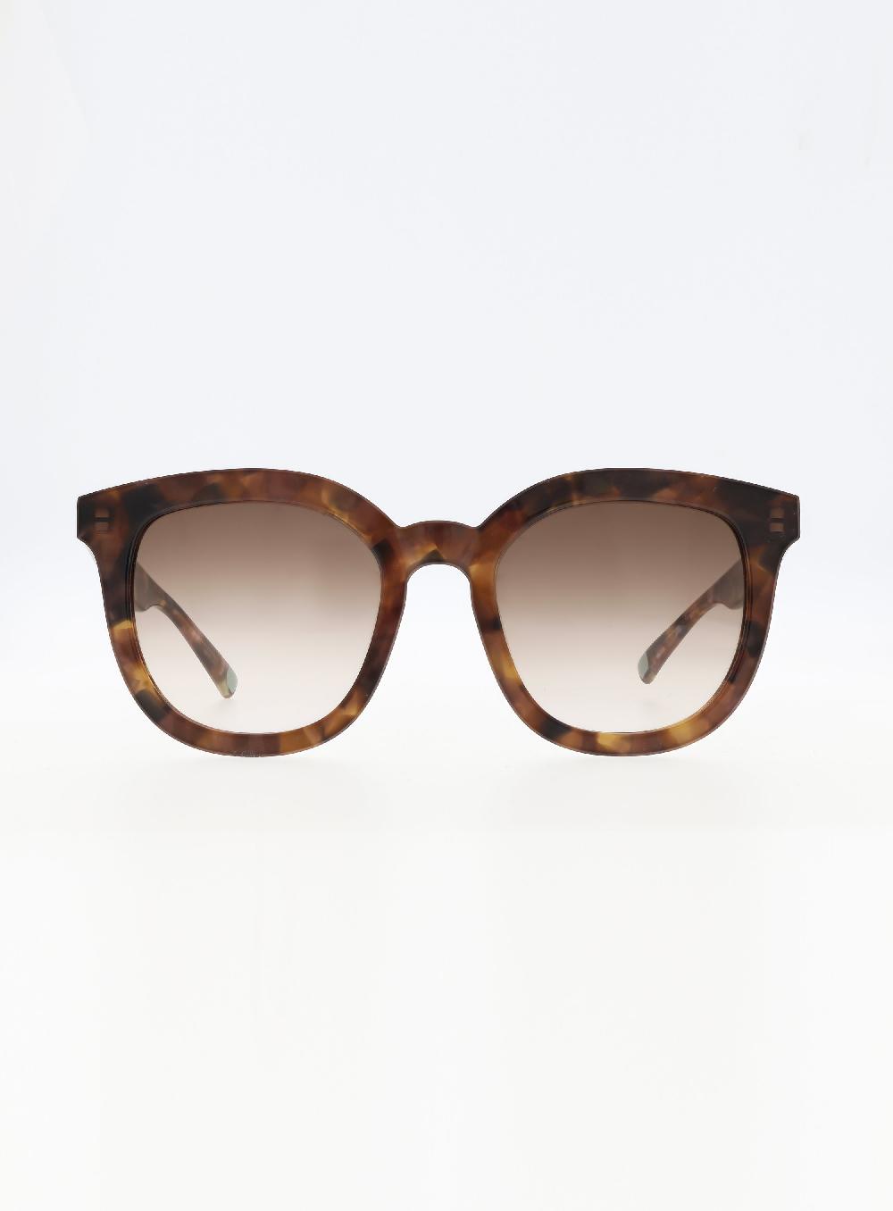 George Gina & Lucy Paragleyede