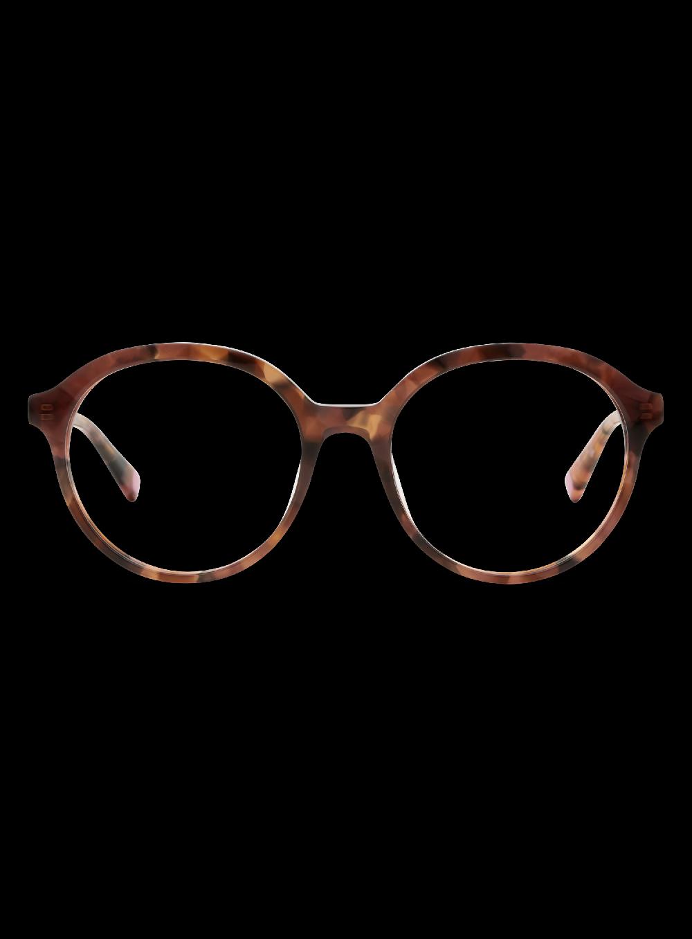 george gina & lucy SEEBIRD