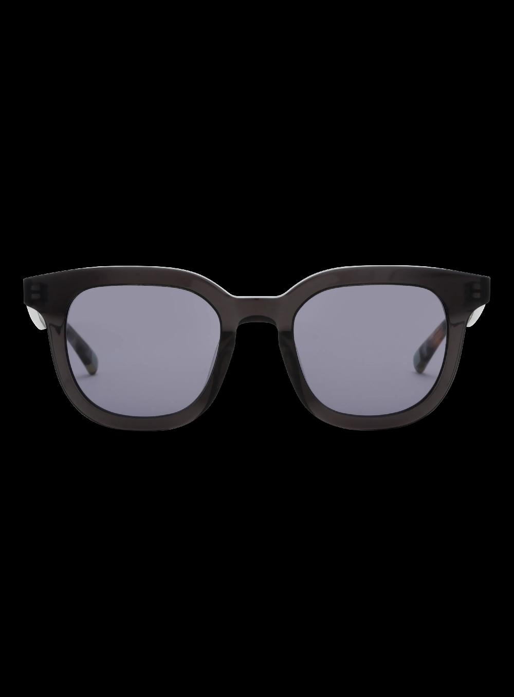 george gina & lucy SURVEYEVOR