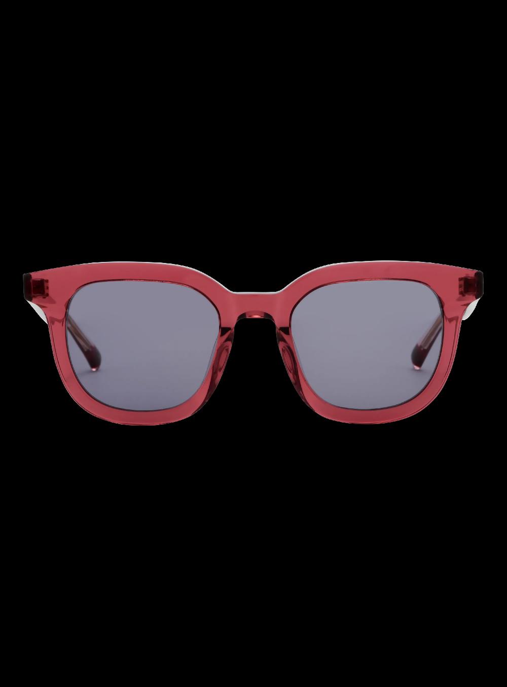 george gina & lucy SURVEYEVOR