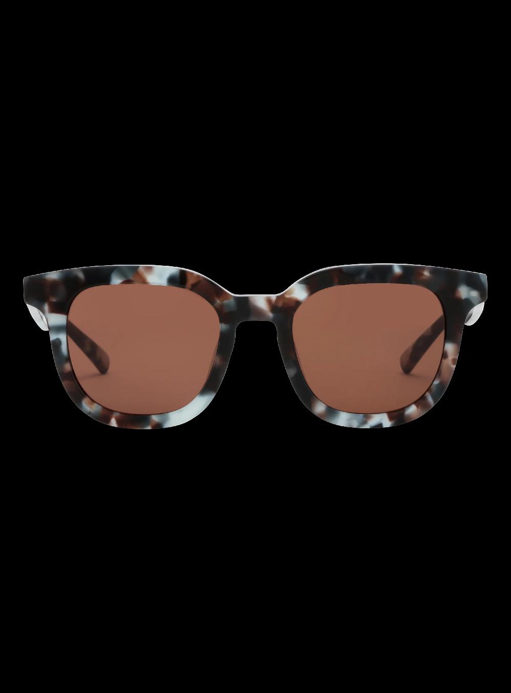 george gina & lucy SURVEYEVOR