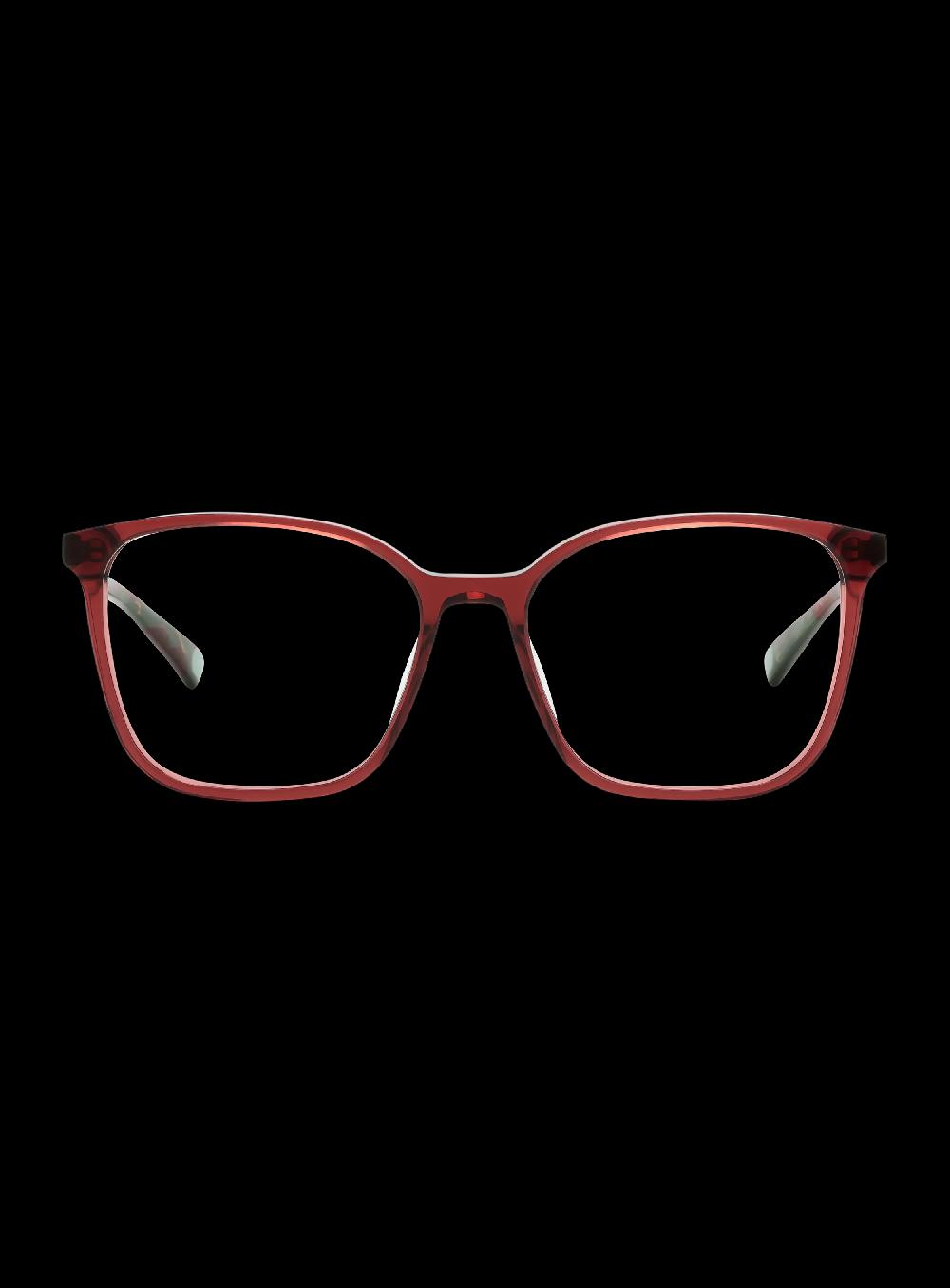 george gina & lucy UNIVERSEETY