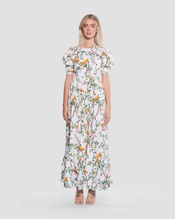 Gianfranco Ferre Floral Open Back Maxi Dress Multicolor