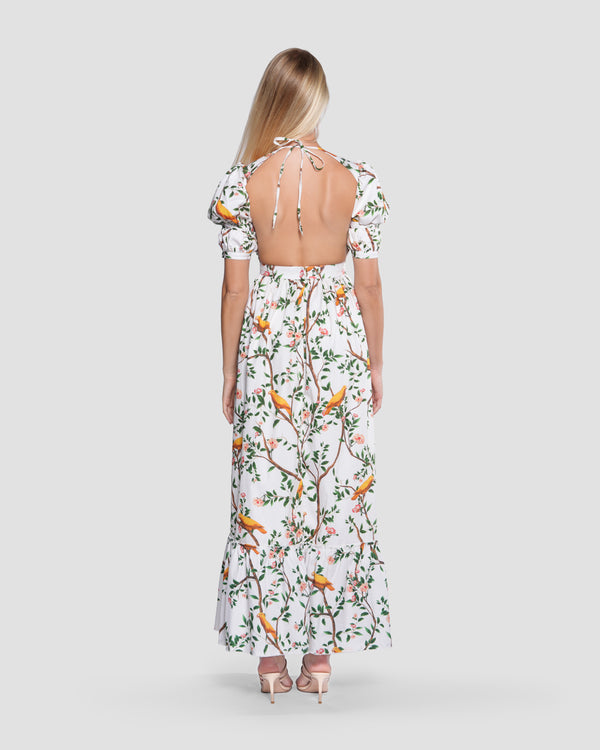 Gianfranco Ferre Floral Open Back Maxi Dress Multicolor