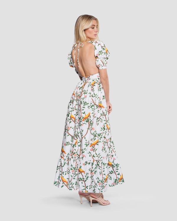 gianfranco ferre Floral Open Back Maxi Dress Multicolor