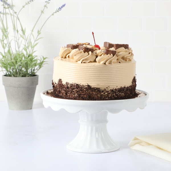 Gibson Home Martha Stewart Patterson 10" X 5.1" White Round Stoneware Cake Stand