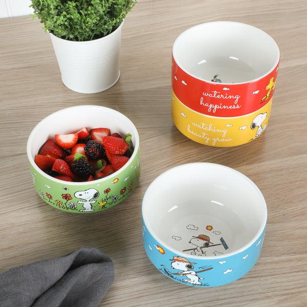 Gibson Home Peanuts Snoopy 4-Pack Stackable 5.5" Decorated Stoneware Bowl Set