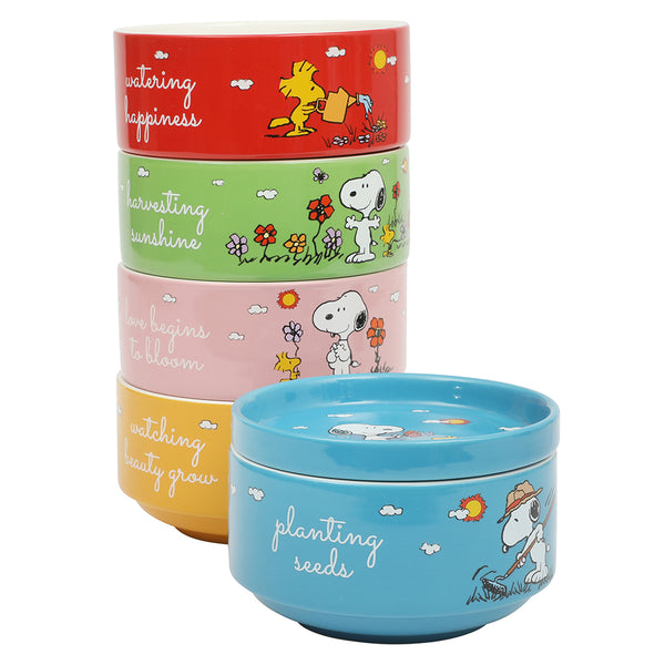 gibson home Peanuts Snoopy 6 Pack Stackable 5.5" Decorated Stoneware Bowl Set W/ Plate