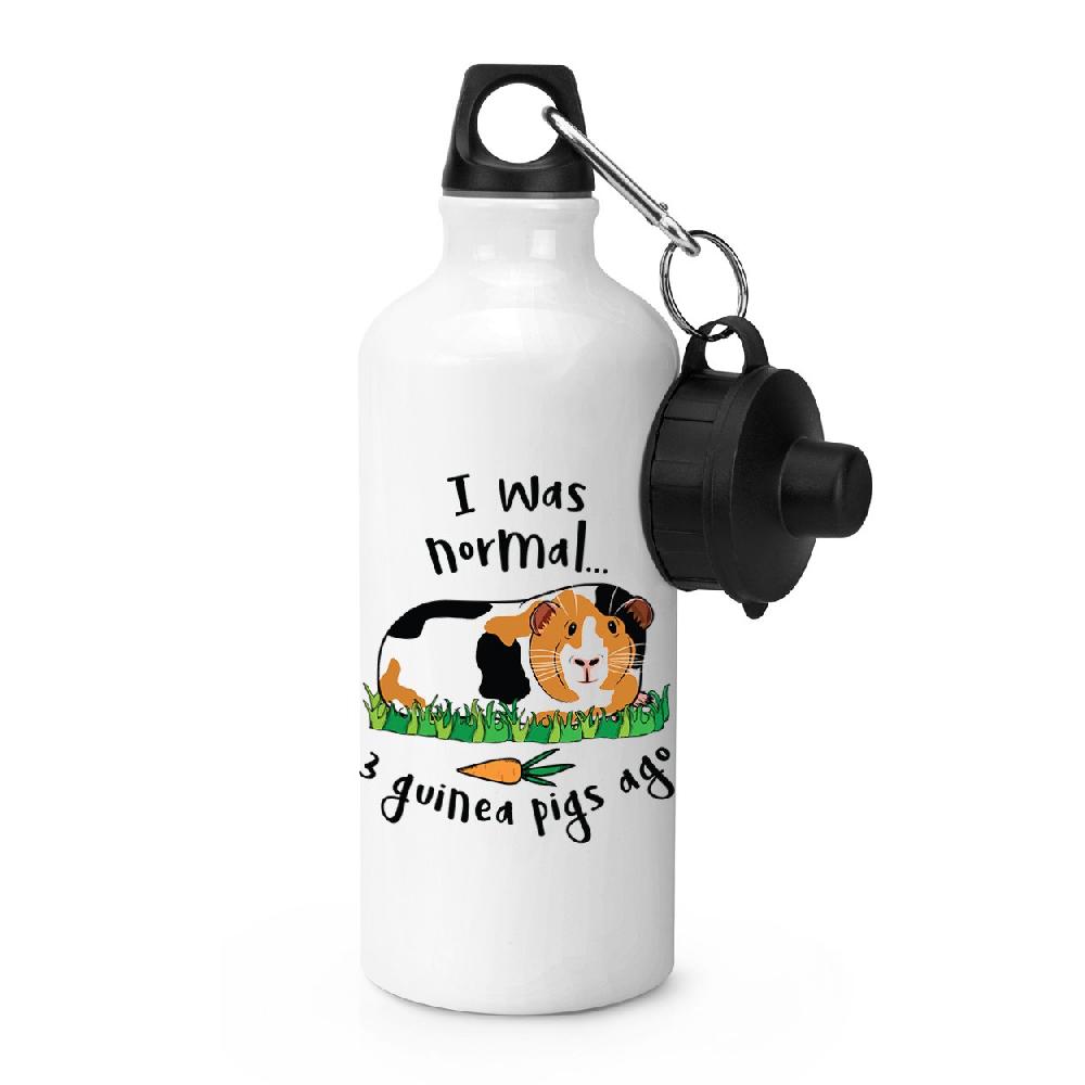 gift base I Was Normal 3 Guinea Pigs Ago Sports Bottle
