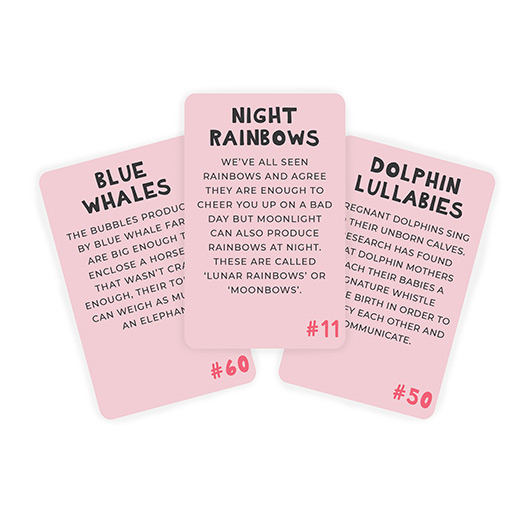 Gift Republic 100 Reasons To Love The World