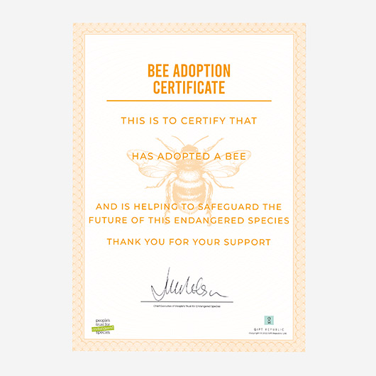 Gift Republic Adopt A Bee