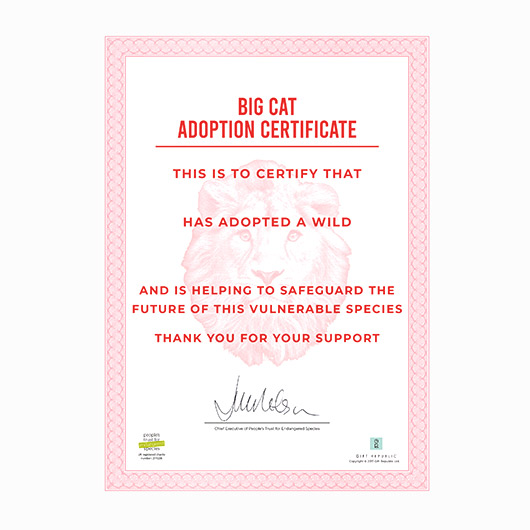 Gift Republic Adopt A Big Cat