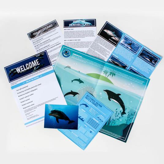 Gift Republic Adopt A Dolphin