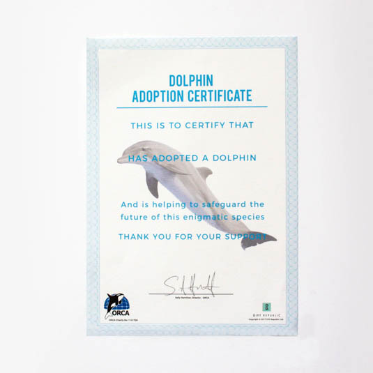Gift Republic Adopt A Dolphin