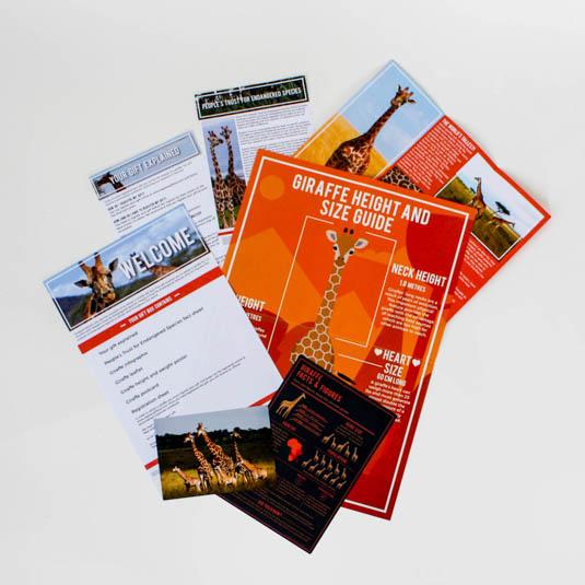 Gift Republic Adopt A Giraffe