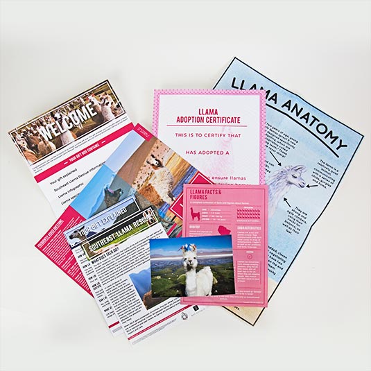 Gift Republic Adopt A Llama Gift Tin