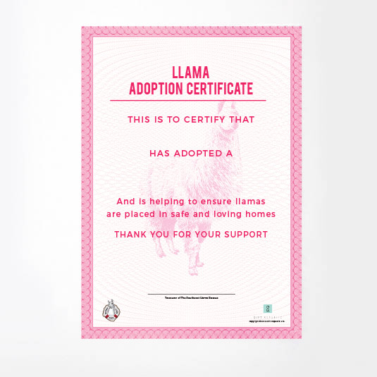 Gift Republic Adopt A Llama Gift Tin