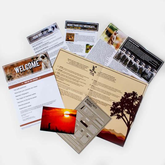 Gift Republic Adopt A Meerkat