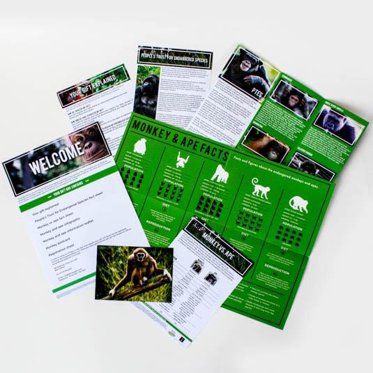 Gift Republic Adopt A Monkey