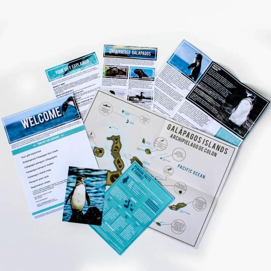 Gift Republic Adopt A Penguin