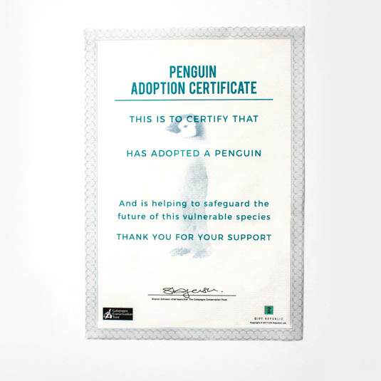 Gift Republic Adopt A Penguin