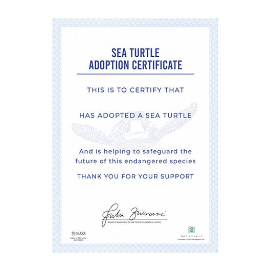 Gift Republic Adopt A Sea Turtle
