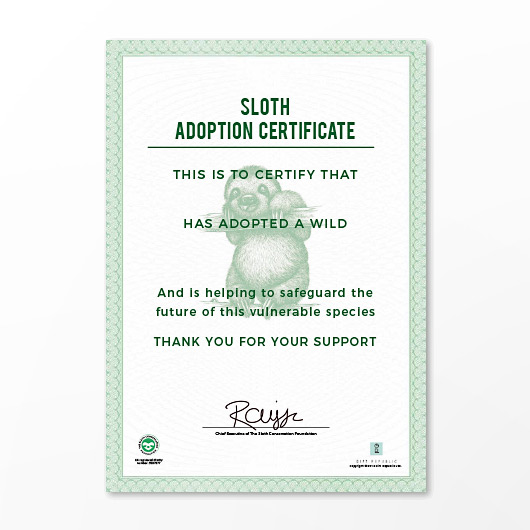 Gift Republic Adopt A Sloth