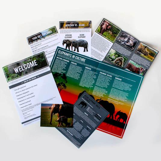 Gift Republic Adopt An Elephant