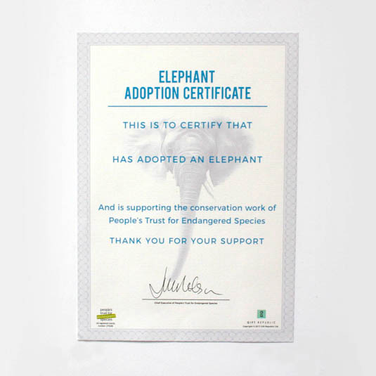 Gift Republic Adopt An Elephant
