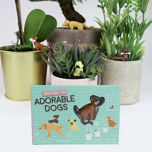 Gift Republic Adorable Dogs Plant Markers